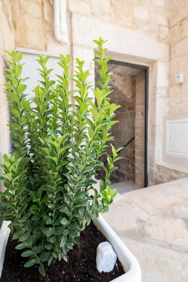 Piccola Pietra Bianca Hotel Giovinazzo Exterior photo